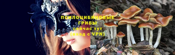 PSILOCYBIN Верея