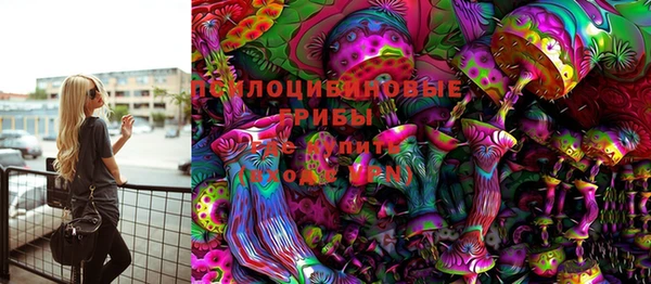 PSILOCYBIN Верея