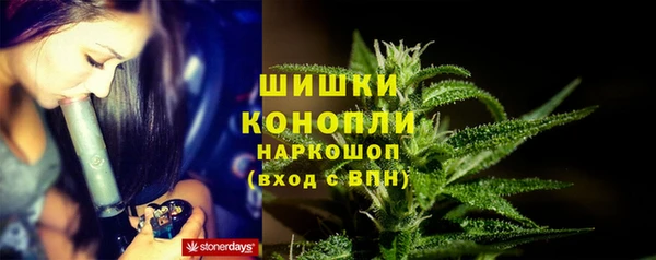 шишки Верхний Тагил
