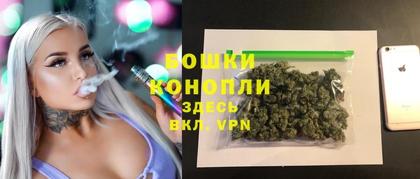шишки Верхний Тагил
