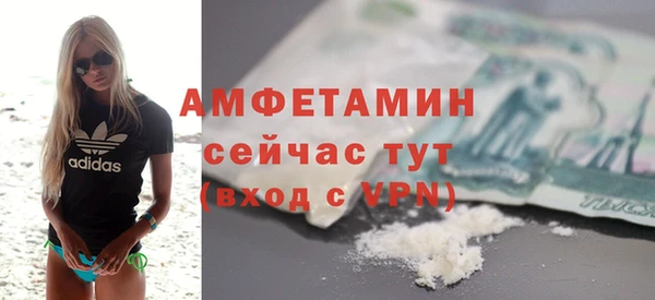 шишки Верхний Тагил