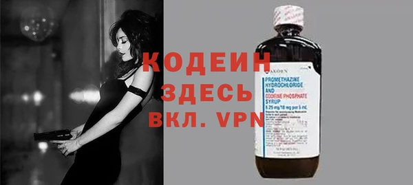 шишки Верхний Тагил