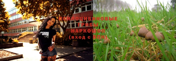 PSILOCYBIN Верея