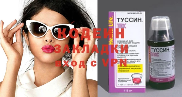 шишки Верхний Тагил