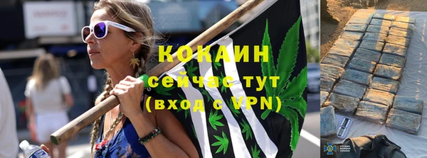 PSILOCYBIN Верея