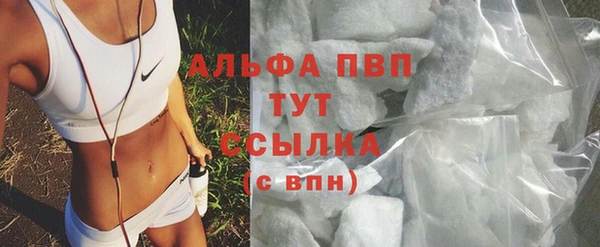 шишки Верхний Тагил