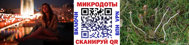 Псилоцибиновые грибы Cubensis наркота Армавир